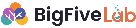 BigFiveLab